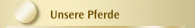 Unsere Pferde